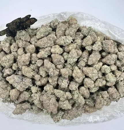 alien cookies strain